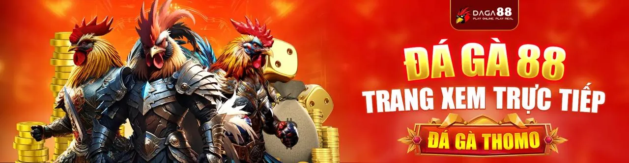 Đá Gà Trực Tuyến k8cc